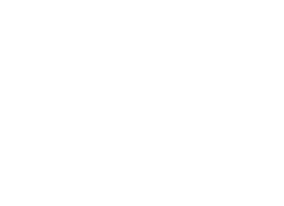 Bossert Immobilien logo